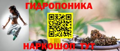 ECSTASY Конаково