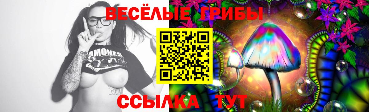 Кировск  дарнет шоп  Псилоцибиновые грибы GOLDEN TEACHER  Вход с VPN  Галлюциногенные грибы Magic Shrooms 
